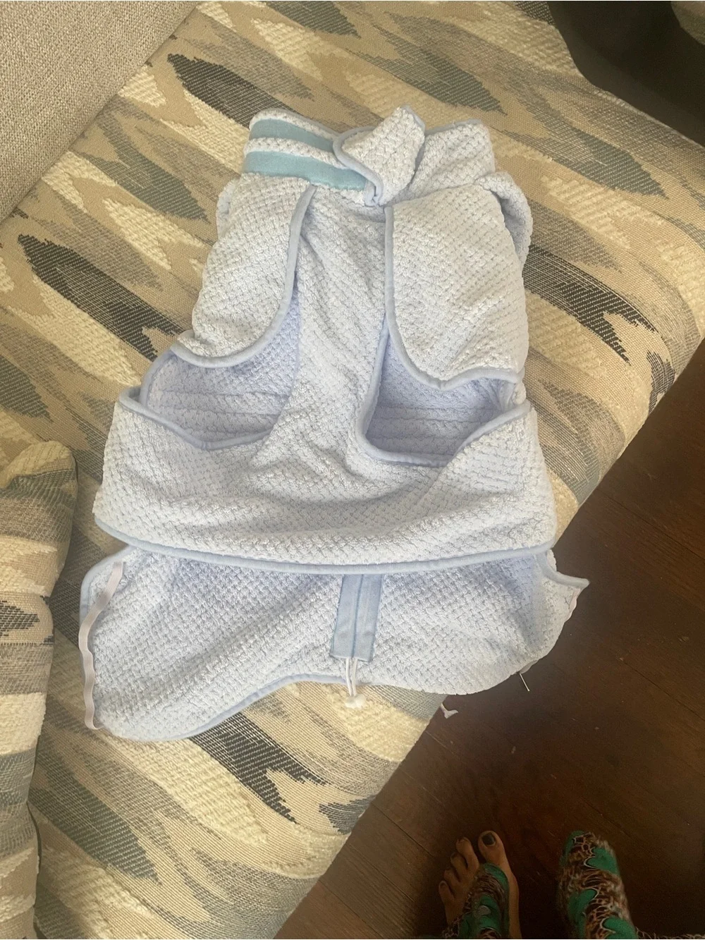 Plush Light Blue Hooded Dog Bathrobe with Bear Ears